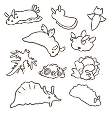 いろいろなウミウシのセット　線画