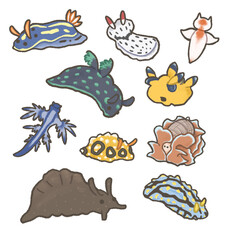 いろいろなウミウシのセット