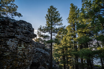 An overlooking view in Fool Hollow Lake Recreation Area, Arizona