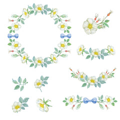 Wreath vector and ornament of blue ribbon and dog rose hand drawn watercolor.