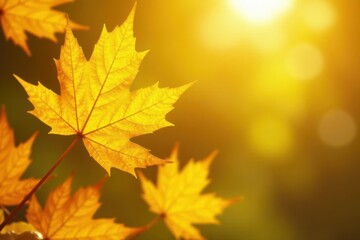 Fototapeta premium Warm sunny day on a bright yellow leaf with shiny gold foil details, shiny yellow leaf gold foil texture, warm