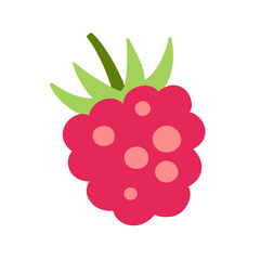 Raspberry berry hand drawn vector illustration