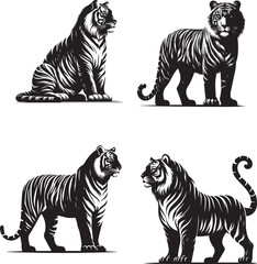 Ashoka Tiger Roaring in the Wild – Bold and Majestic Vector Art