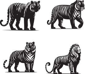 Kavi Tiger in Action – Dynamic Jungle Predator Vector Illustration