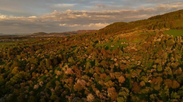 Die drei Kaiserberge und die Burg Teck im goldenen Licht: Ein vertr&auml;umter Sonnenuntergang &uuml;ber Streuobstwiesen und der B&ouml;lle.