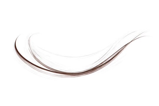 A simple line drawing of an elegant, curved brush stroke on a transparent background PNG
