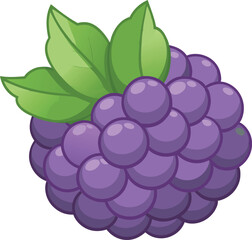 A vibrant vector art illustration of delicious boysenberries, showcasing rich colors and detailed textures perfect for food and fruit-themed designs.