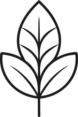 eucalyptus leaf icon line art on transparent background