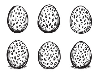 Rolled Oat vector line art illustration