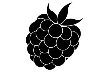 Raspberry silhouette vector illustration
