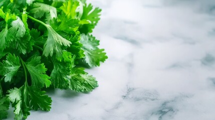 Fototapeta premium Lush green leaves, a closeup exploration of natural beauty and intricate detail