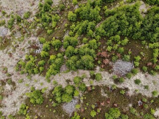 Beskid Moravski, Czech Republic, in Spring