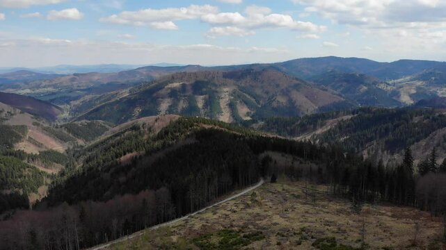 Beskid morawski, ostry, javorowy stit in spring