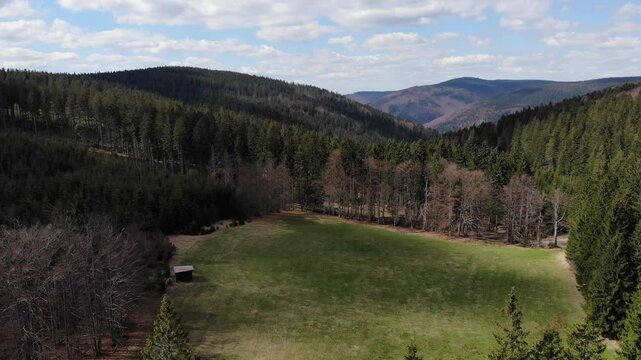 Beskid morawski, ostry, javorowy stit in spring