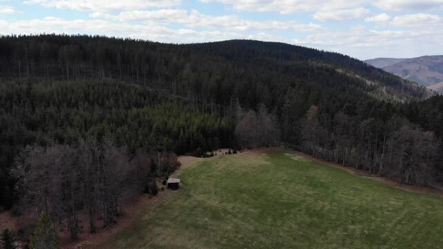 Beskid morawski, ostry, javorowy stit in spring