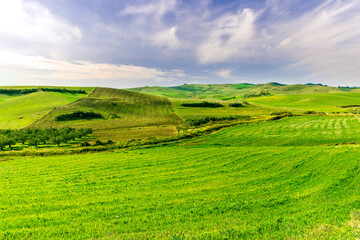 young spring field on hills of green rustic farmland with grass plants and garden. Countryside green spring or summer season landscape of farm with beautiful blue cloudy sky on background