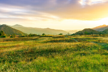 Obraz premium beautiful green valley with green fields with green spring grass with nive hills and mountains and scrnic colorful cloudy sunset on background of landscape