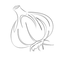 One continuous single drawing line art flat doodle bulb, raw, vegetarian, ripe, ingredient, spice, garlic. Isolated image hand draw contour on a white background, hand drawn, not AI