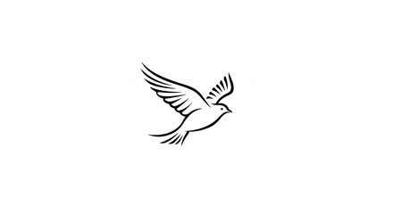 Fototapeta premium Elegant minimalist line art bird in flight graphic design