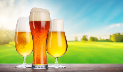 An assortment of beer glasses filled with different types of beer