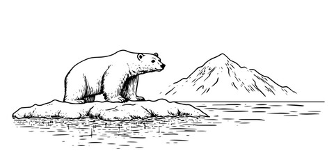 polar bear standing on a large ice floe sketch in doodle vector black style © Kaz