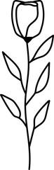 Rose Outline Illustration