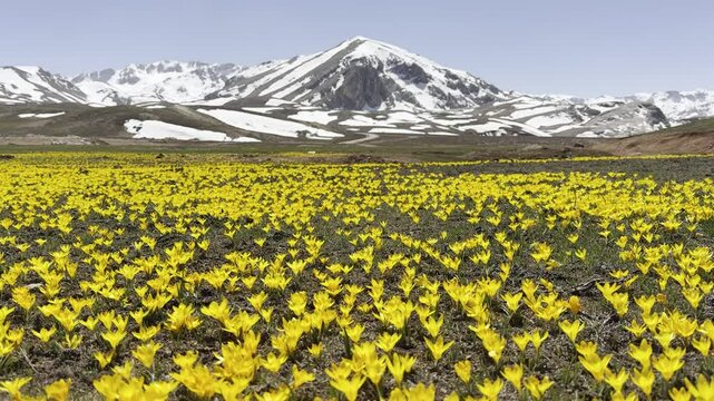 Spring landscapes in the EGRIGOL region, one of the popular plateaus of Antalya