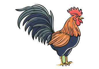 Fototapeta premium un coque sur fond blanc