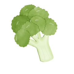 broccoli, vegetable
