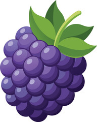Blackberry