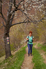 Obraz premium Woman hiking along blooming forest trail in spring