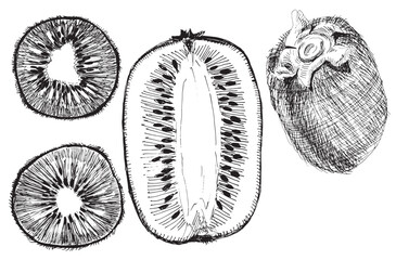 Black and white hand-drawn kiwi aet isolated on a white background. EPS 10 vector. Graphics with a pen. Half kiwi, sliced kiwi, whole kiwi. Sketch with a black pen. The design element