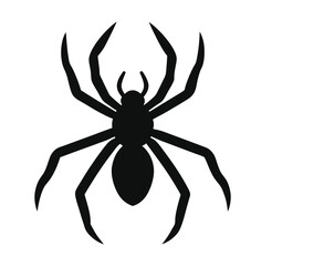 Spider vector silhouettes
