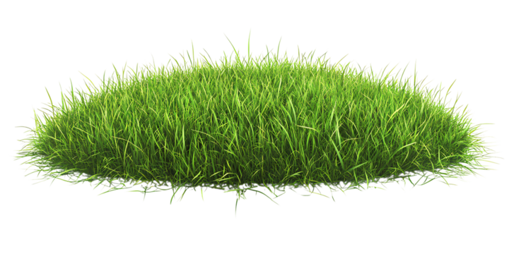 3D realistic round grass field, isolated on a transparent background