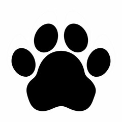 paw prints on white