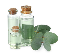 Bottles of essential oil and eucalyptus leaves isolated on white