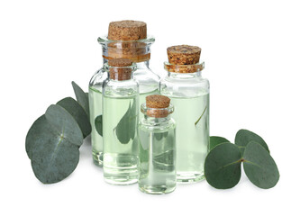 Bottles of essential oil and eucalyptus leaves isolated on white