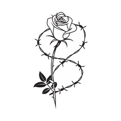 Fototapeta premium white rose on a black background