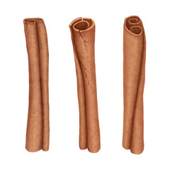 Close-up of three cinnamon sticks against a white background Watercolor Illustration