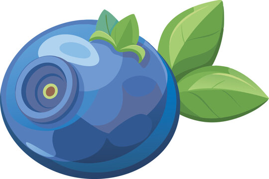 blue blueberry with green leaves clip art preview