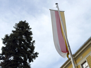 Austrian flag on pole near historic building and tall tree against cloudy sky