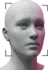 These are digital 3D scan images of a human face rendered in wireframe style.