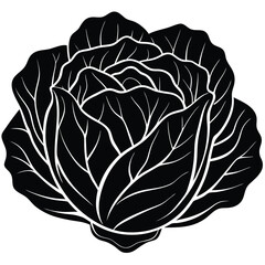 Black silhouette of a cabbage on a white background