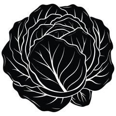 Black silhouette of a cabbage on a white background