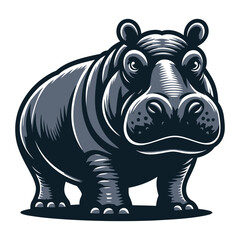 hippopotamus vector and illustrations on white background.