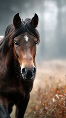 Naklejka premium Majestic brown horse walks through misty forest during early morning light