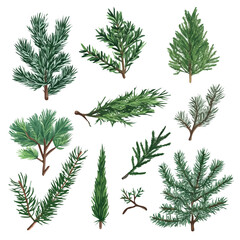A Very Simple flat 2D icon of a Collection of evergreen tree elements isolated on a transparent background, vector, flat design, simple flat 2D icon, eps © Sabellatint