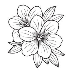 Vector illustration of a flower