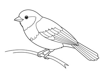A creative bird-themed coloring template in line drawing style, isolated on white, great for fun activities or educational coloring books.