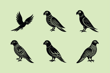 Sun Conure bird, silhouette vector illustration